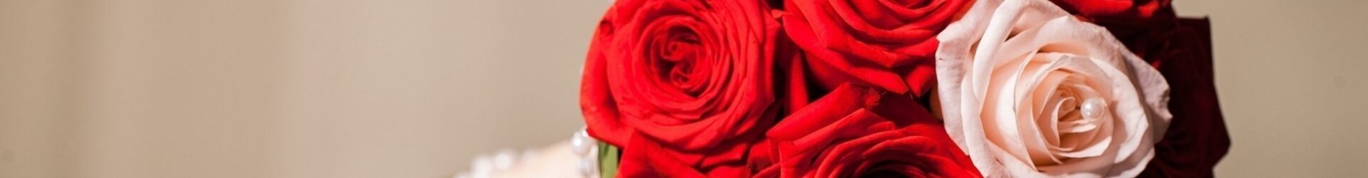 Buket crvenih ruža